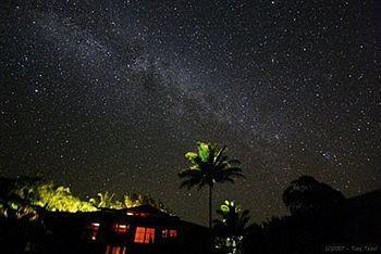 Macadamia Meadows Farm Bed & Breakfast Naalehu المظهر الخارجي الصورة